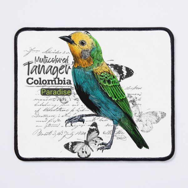 Item preview, Multicolored Tanager, an endemic and vulnerable species of Colombian forests designed and sold by plumasycantos.