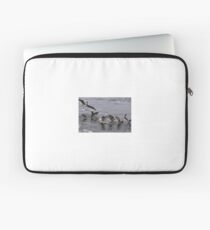 Competition Laptop Sleeve