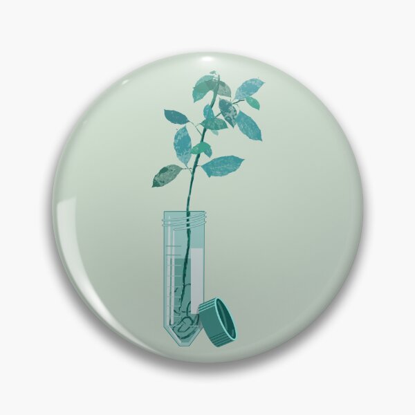 Item preview, Plant growing in a 50 mL conical tube designed and sold by Science Lab Designs.