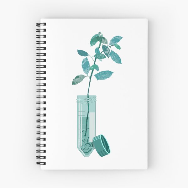 Item preview, Plant growing in a 50 mL conical tube designed and sold by Science Lab Designs.