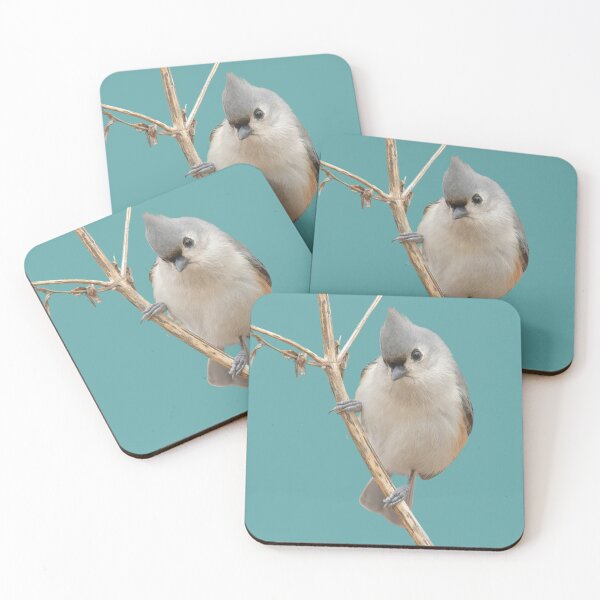 Item preview, Curious Tufted Titmouse sitting on a stick  designed and sold by BirdsnStuff.