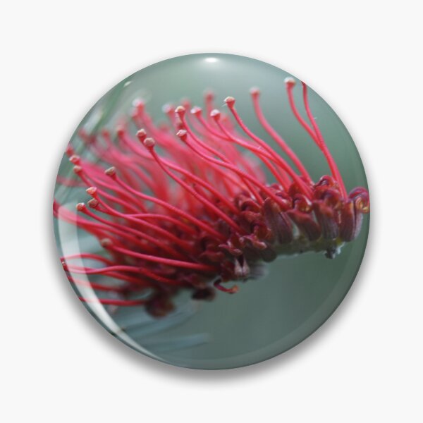 Item preview, A Grevillea's Beauty designed and sold by imaginethis.