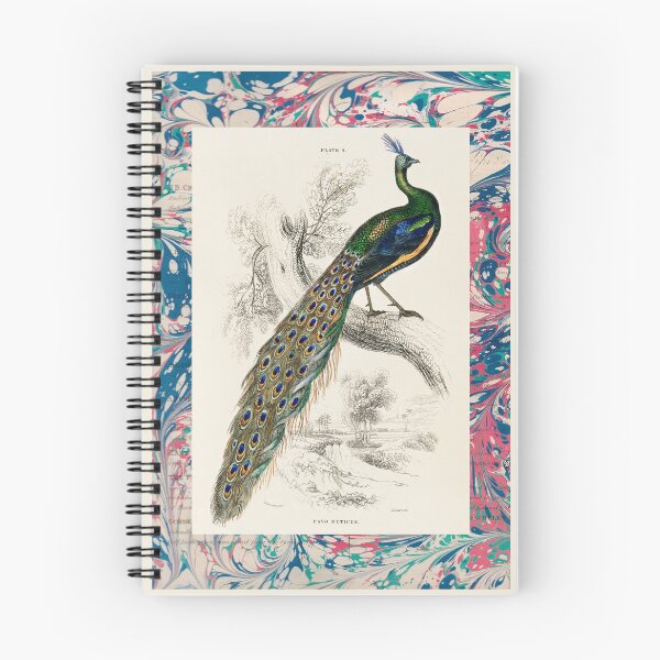 Item preview, Peacock with marbled ephemera border William Jardine 19th century illustration designed and sold by Jessica Goulty.