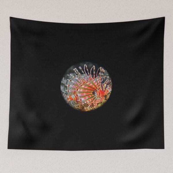 Item preview, Butterfly Fish designed and sold by Malik-Designs.