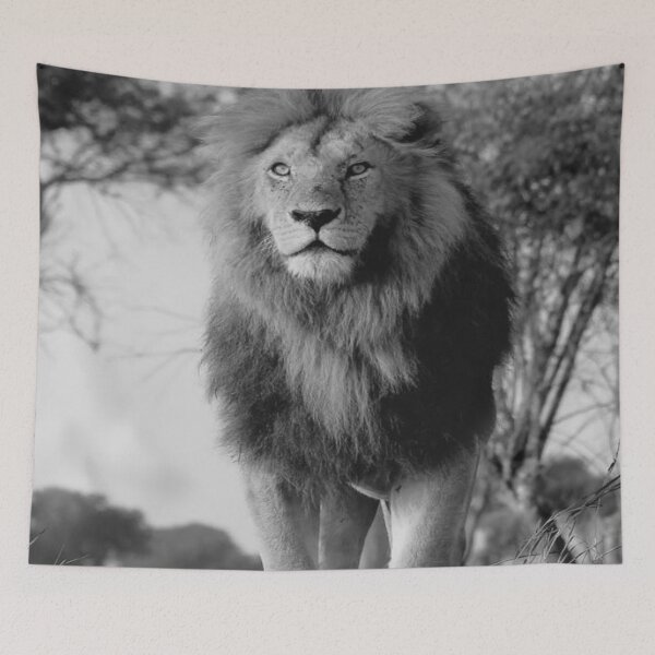 Item preview, Black and White Lion Photo designed and sold by lets-travel.
