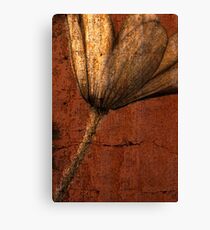 Coffee Canvas Print