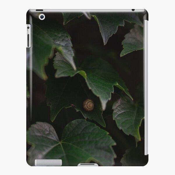 Snail iPad Snap Case