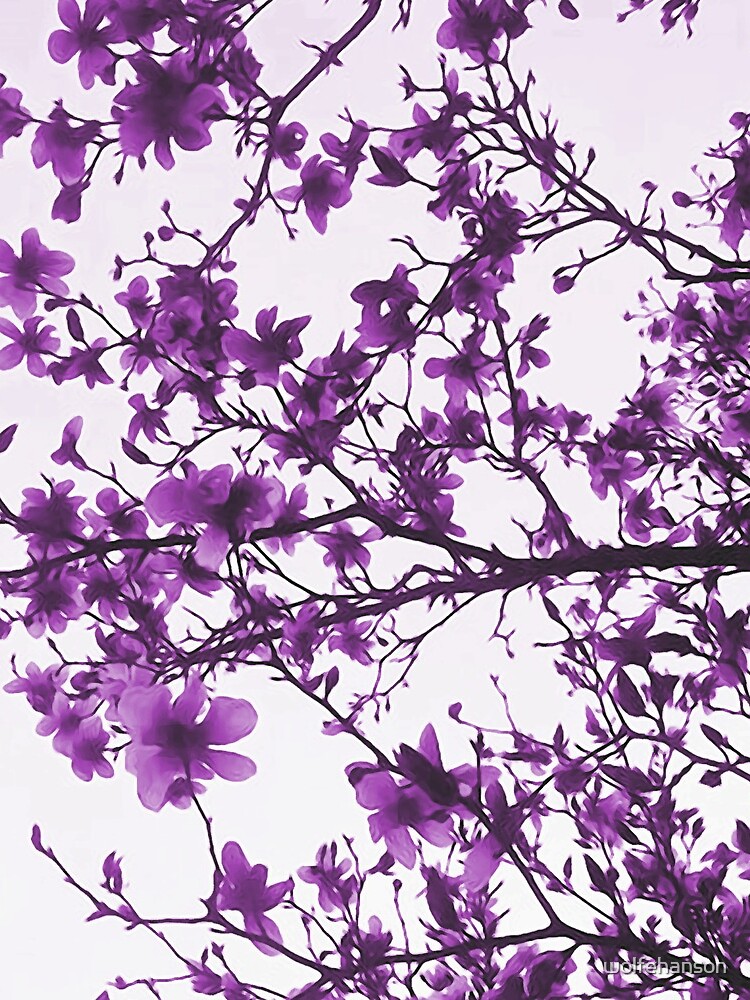 Purple Flowers in Bloom by wolfehanson