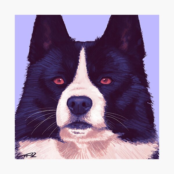 Item preview, keen karelian bear dog  designed and sold by MelHillery.