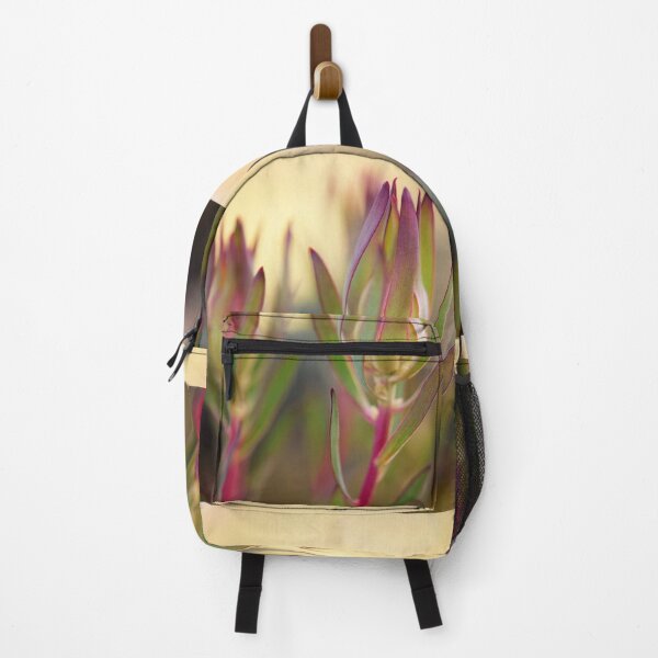 Item preview, Beauty of a Protea - Leucadendron Salignum designed and sold by imaginethis.