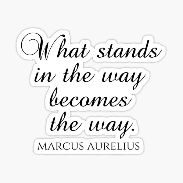 "Marcus Aurelius Quote What Stands In The Way The Way