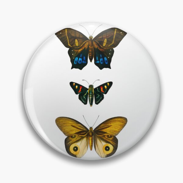 Item preview, Butterflies (1892) - Biological Illustration designed and sold by SALON DES ARTS.