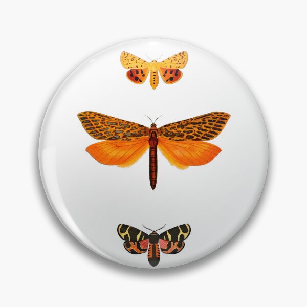 Item preview, Moths (1892) - Biological Illustration designed and sold by SALON DES ARTS.