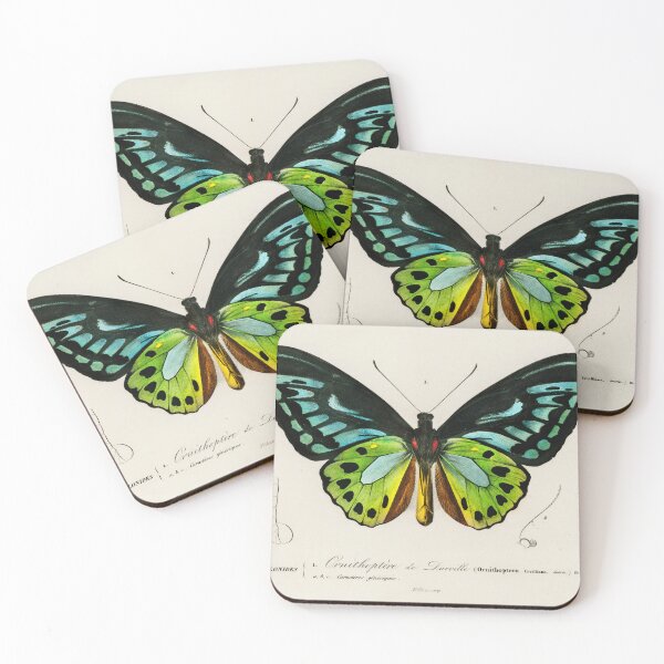 Item preview, Butterfly (1892) - Biological Illustration designed and sold by SALON DES ARTS.