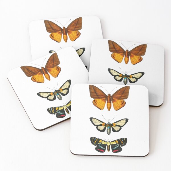 Item preview, Moths (1892) - Biological Illustration designed and sold by SALON DES ARTS.