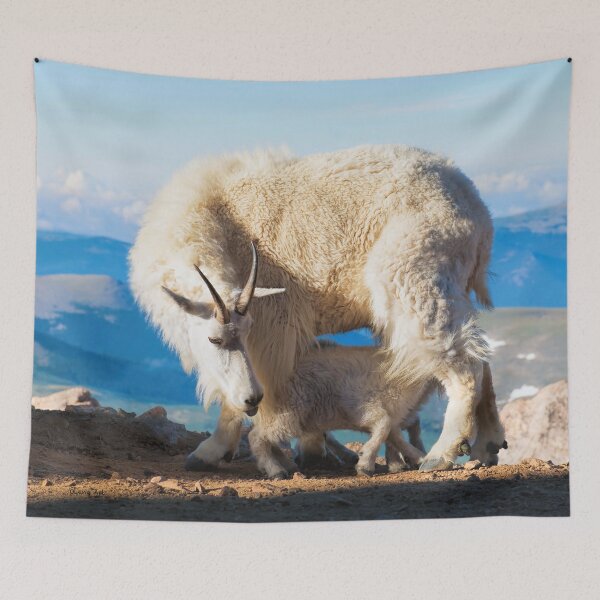 Item preview, Mountain Goats Nanny and Kid  by Lena Owens designed and sold by Rocky Mountain Artistry.