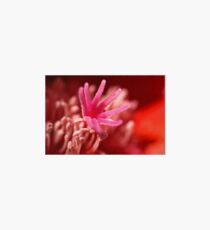 Flower Abstract Art Board