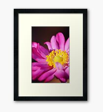 Morning Flower: Macro Photography Framed Print