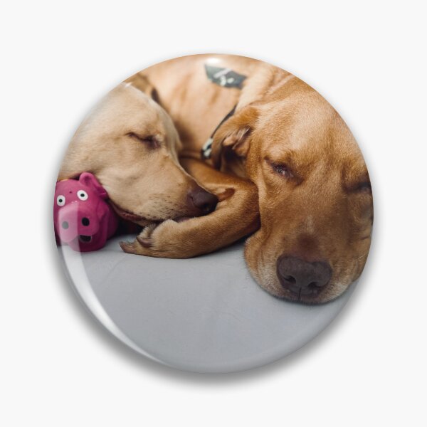 Item preview, Chip Sleepping  designed and sold by jayron88.