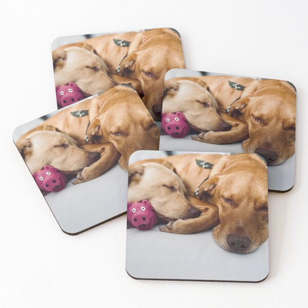 Item preview, Chip Sleepping  designed and sold by jayron88.