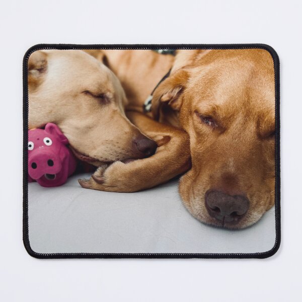 Item preview, Chip Sleepping designed and sold by jayron88.