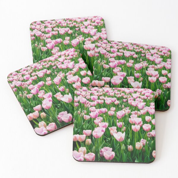 Aperçu de l'œuvre Les tulipes éclatent à la fin de l'hiver par Carol M. Highsmith créée et vendue par MarlundArt.