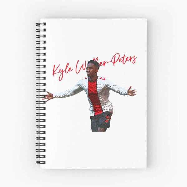 Item preview, Kyle Walker-Peters designed and sold by Truefans.