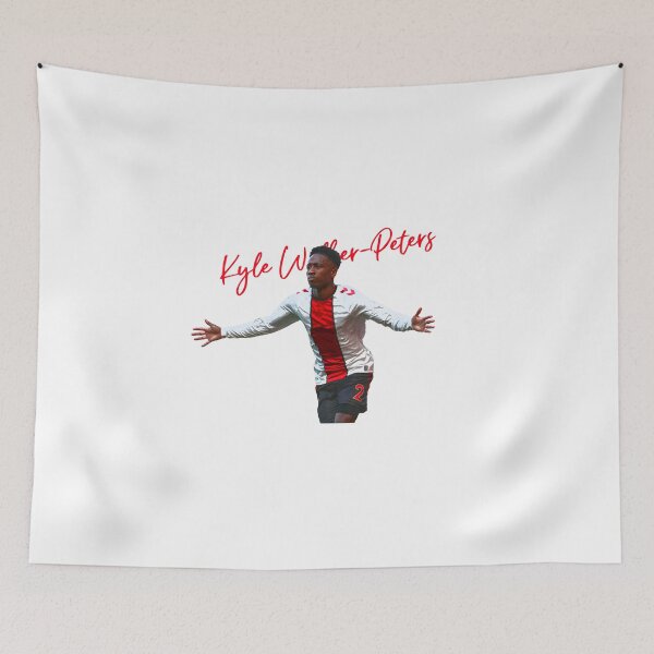 Item preview, Kyle Walker-Peters designed and sold by Truefans.
