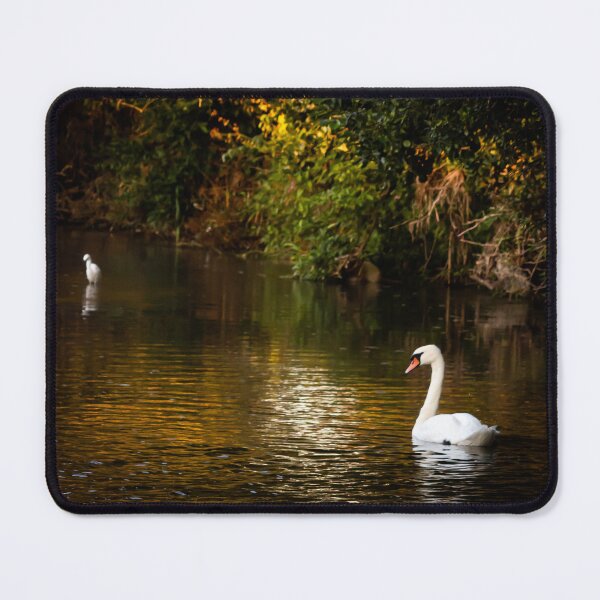 Item preview, Beautiful English River Scene With Swan and a Egret designed and sold by widdy170.