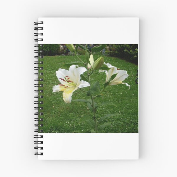 Item preview, White lilies designed and sold by atomicseasoning.
