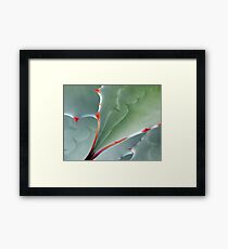 Aerial View Framed Print