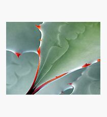 Aerial View Photographic Print