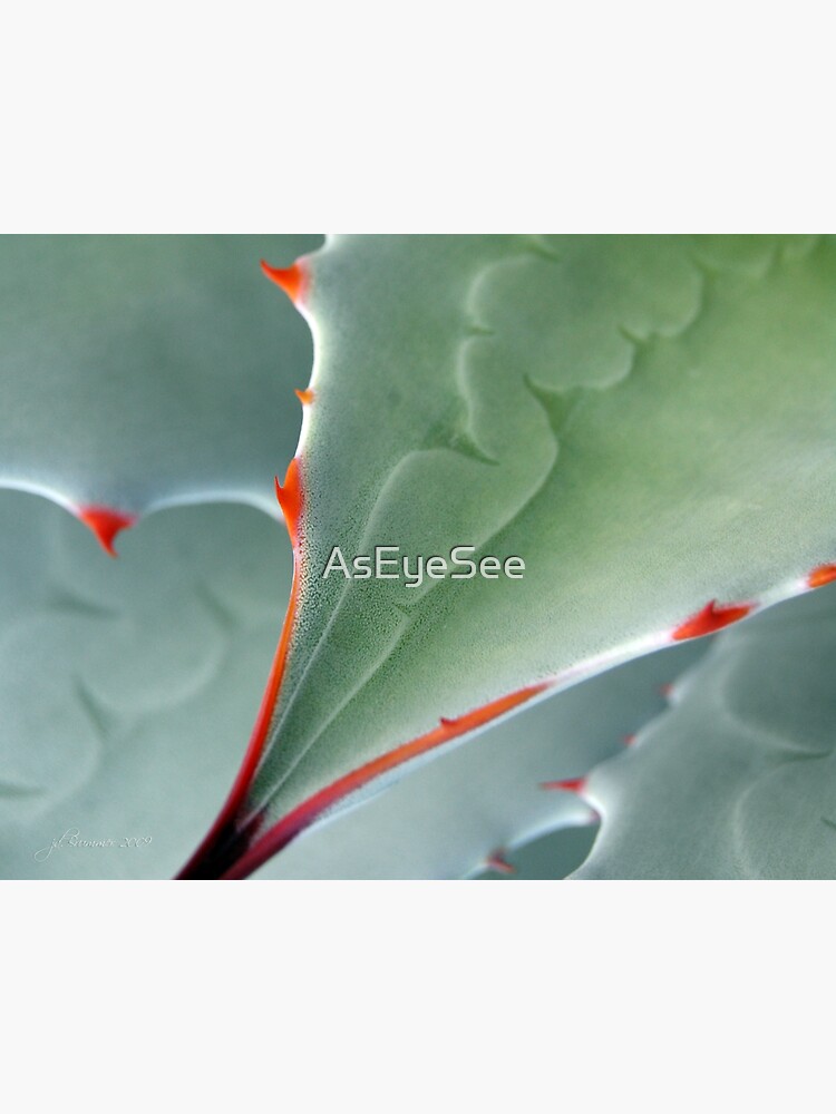 Aerial View by AsEyeSee