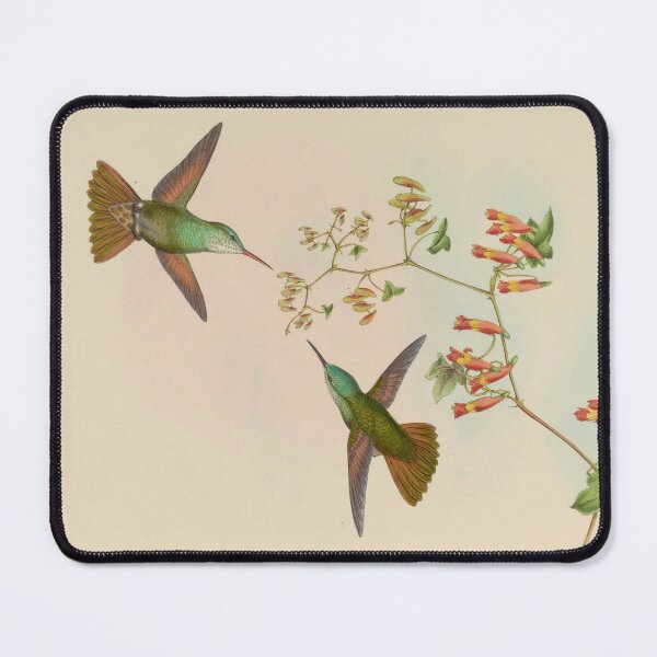 Item preview, Hummingbirds by John Gould designed and sold by Amanda1775.