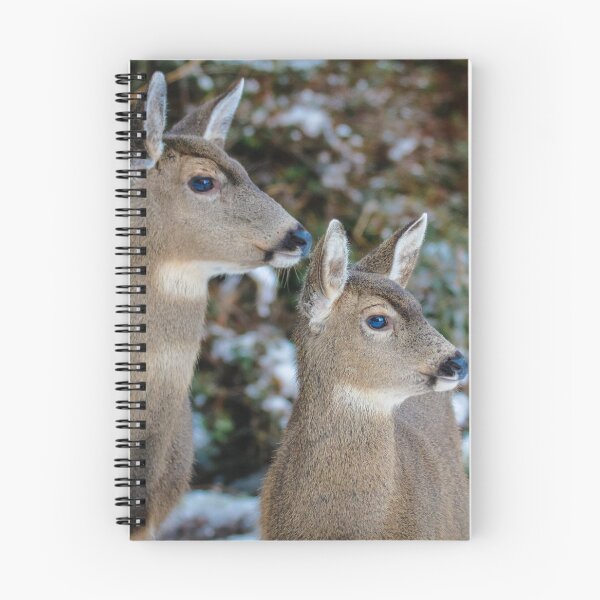 Item preview, Two Deer in the Snow, Ocean Shores, WA designed and sold by ShleeSnaps.