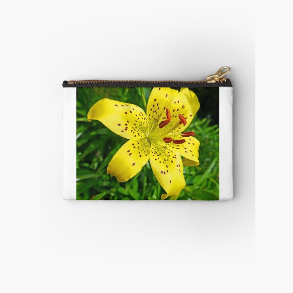 Item preview, Lilium in Yellow designed and sold by Graeme  Hyde.