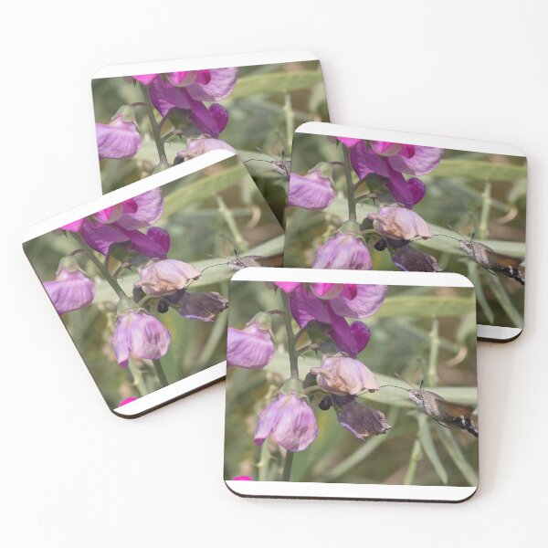 Item preview, Hummingbird Hawk Moth designed and sold by LaurenTucker.