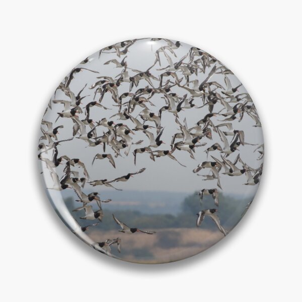 Item preview, Oystercatcher Flock designed and sold by LaurenTucker.
