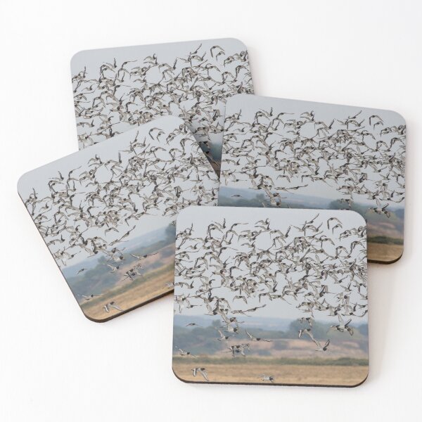 Item preview, Oystercatcher Flock designed and sold by LaurenTucker.