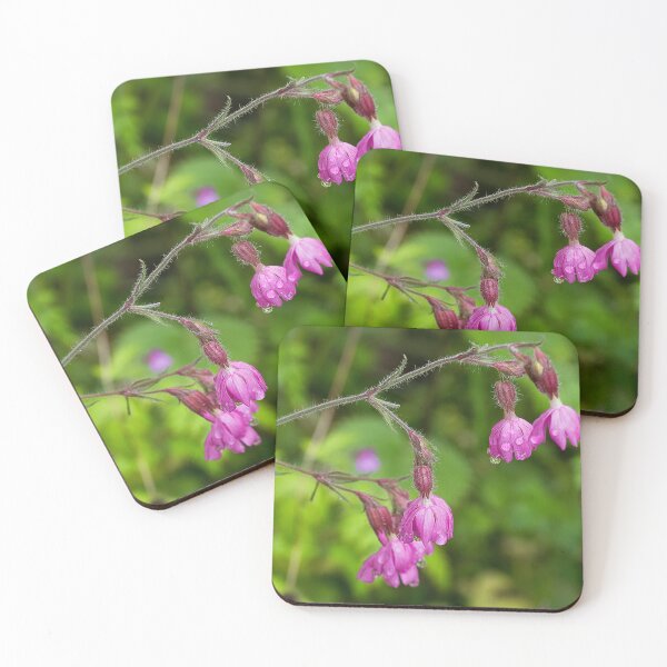 Item preview, Red Campion after rain designed and sold by Violaman.