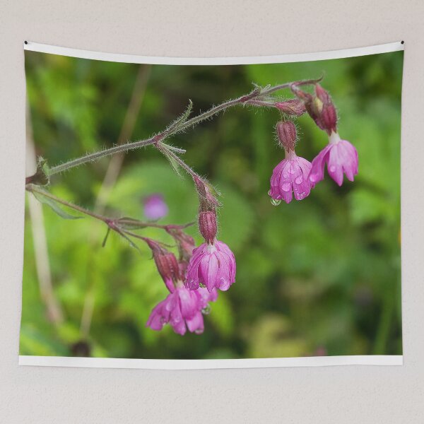 Item preview, Red Campion after rain designed and sold by Violaman.