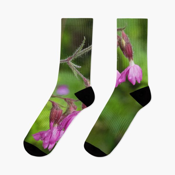 Item preview, Red Campion after rain designed and sold by Violaman.