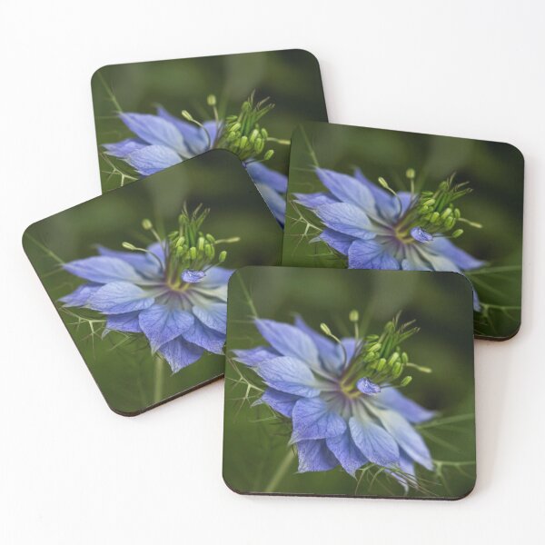 Item preview, Love-in-a-mist designed and sold by Art in Nature.