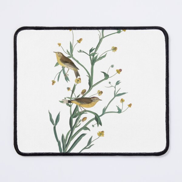 Item preview, Yellow Red-Poll Warbler, 1832 designed and sold by DinoCatastrophe.