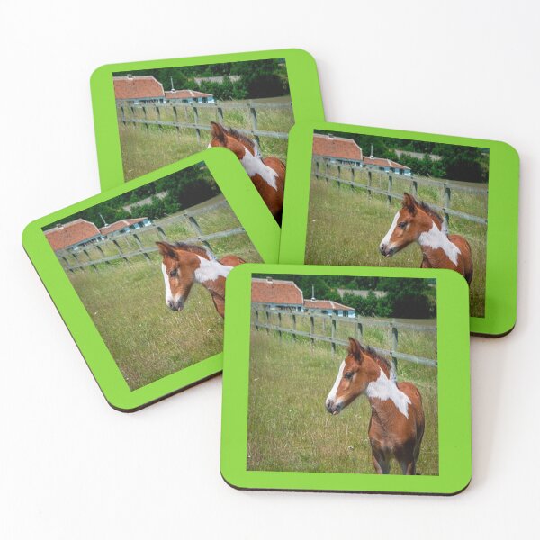 Item preview, FOAL IN HIS HABIT designed and sold by solgel47.