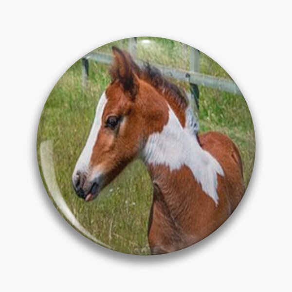 Item preview, FOAL IN HIS HABIT designed and sold by solgel47.