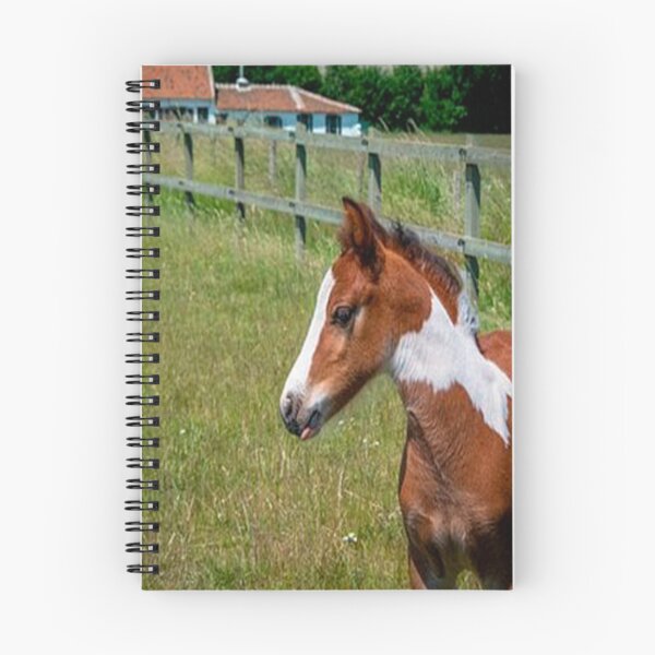 Item preview, FOAL IN HIS HABIT designed and sold by solgel47.