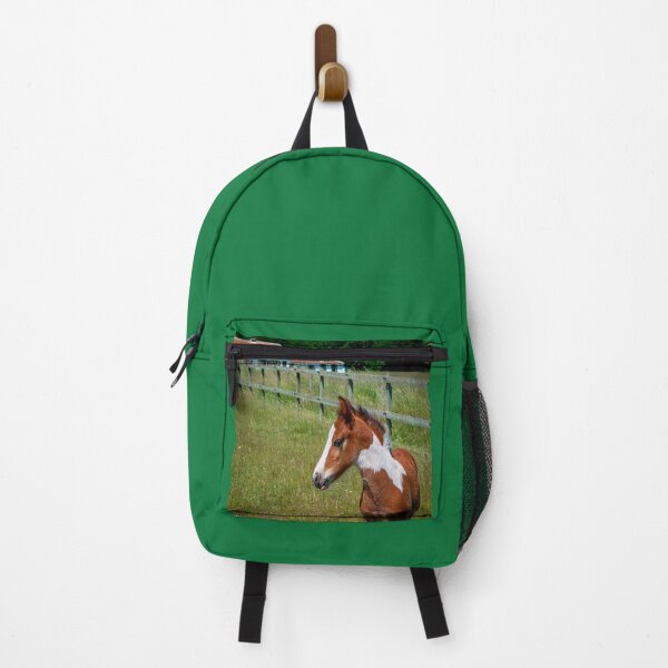 Item preview, FOAL IN HIS HABIT designed and sold by solgel47.