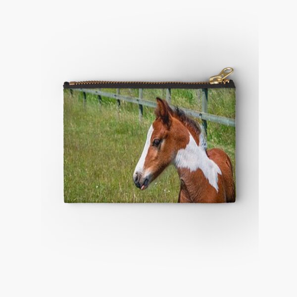 Item preview, FOAL IN HIS HABIT designed and sold by solgel47.