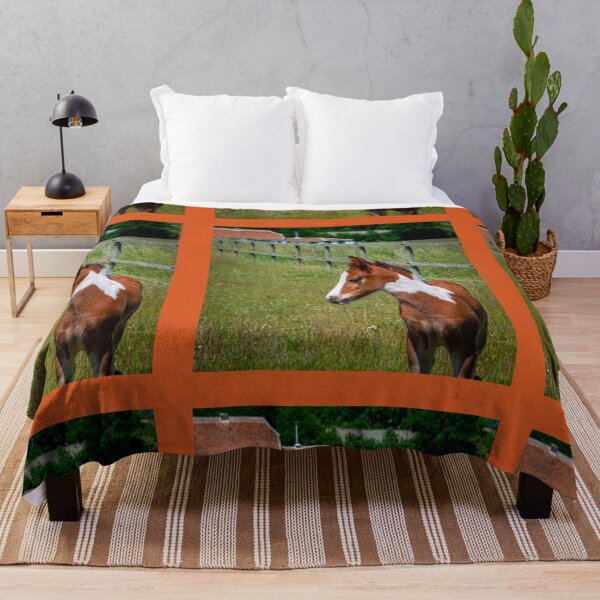 Item preview, FOAL IN HIS HABIT designed and sold by solgel47.
